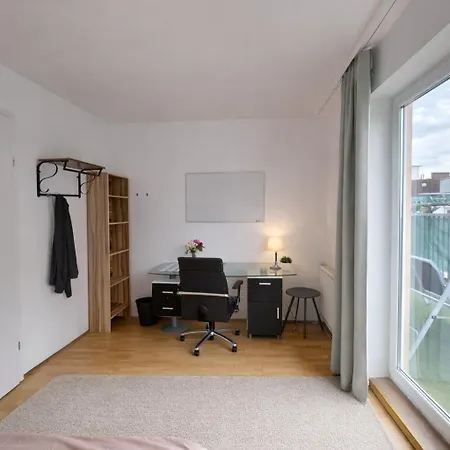 Furnished Room With Terrace In Central Vienna